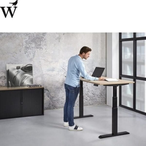 NEN Zit Sta Tafel Elektrisch verstelbaar 120x80cm Zwart